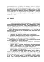 Referāts 'Uzņēmuma ”Fortech” produkta virzīšana tirgū', 16.