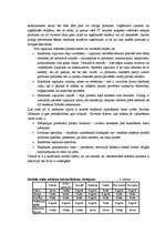 Referāts 'Uzņēmuma ”Fortech” produkta virzīšana tirgū', 17.