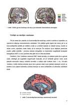 Referāts 'Emociju regulācijas attīstība un galvas smadzeņu struktūru loma emociju attīstīb', 8.