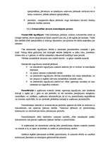 Referāts 'Iekšējā kontrole uzņēmumā', 5.