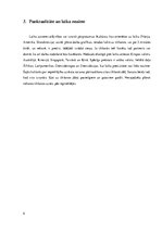 Referāts 'Bizness un starpkultūru komunikācijas problēmas', 9.