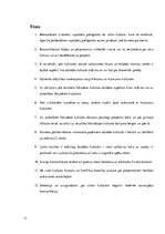 Referāts 'Bizness un starpkultūru komunikācijas problēmas', 13.