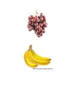 Prezentācija 'Logopēdijas eksāmena darbs', 10.