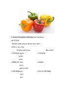 Prezentācija 'Logopēdijas eksāmena darbs', 11.