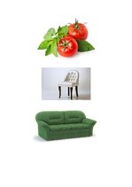 Prezentācija 'Logopēdijas eksāmena darbs', 14.