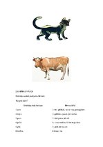 Prezentācija 'Logopēdijas eksāmena darbs', 16.