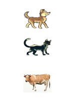 Prezentācija 'Logopēdijas eksāmena darbs', 18.