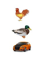 Prezentācija 'Logopēdijas eksāmena darbs', 19.