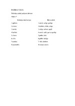 Prezentācija 'Logopēdijas eksāmena darbs', 20.