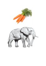 Prezentācija 'Logopēdijas eksāmena darbs', 23.