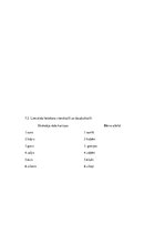 Prezentācija 'Logopēdijas eksāmena darbs', 31.