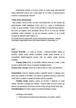 Konspekts 'Nevienlīdzības problēmas', 3.