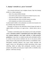 Referāts 'Izdzīvošana: raksturu saderība, komandiera loma, pozitīvie - negatīvie līderi', 5.