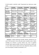 Referāts 'Izdzīvošana: raksturu saderība, komandiera loma, pozitīvie - negatīvie līderi', 7.