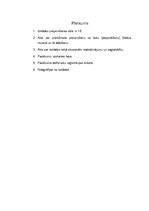 Prakses atskaite 'Kultūras pasākuma organizēšanas prakse', 13.