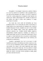 Referāts 'Personālā datora aizsardzība', 5.