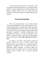 Referāts 'Personālā datora aizsardzība', 6.