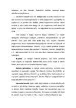 Referāts 'Personālā datora aizsardzība', 11.