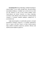 Referāts 'Personālā datora aizsardzība', 12.