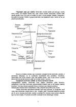 Referāts 'Mordviešu valodas', 7.