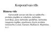 Prezentācija 'Korporatīvā identitāte un korporatīvais tēls', 13.