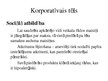 Prezentācija 'Korporatīvā identitāte un korporatīvais tēls', 14.