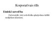 Prezentācija 'Korporatīvā identitāte un korporatīvais tēls', 15.