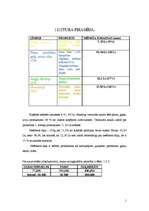 Konspekts 'Uztura piramīda un aprēķins', 1.