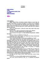 Konspekts 'Laika skaitīšana. Svētki, ar svētceļojumiem saistītie svētki. Svētie laiki. Bībe', 1.