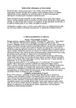 Prakses atskaite 'Pirmskolas izglītība', 6.