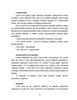 Referāts 'Tūrisma resursu pētīšana', 19.