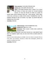 Referāts 'Tūrisma resursu pētīšana', 52.