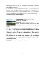 Referāts 'Tūrisma resursu pētīšana', 58.