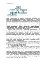 Konspekts 'Mājas darbs informātikā', 7.