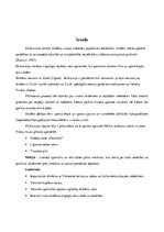 Referāts 'Ekskursija sportā ''Aktīvā diena Vidzemē''', 3.