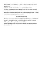 Referāts 'Ekskursija sportā ''Aktīvā diena Vidzemē''', 7.