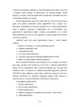 Referāts 'Risku novērtēšana, novēršana un kontrole AS "airBaltic"', 16.