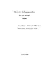 Referāts 'Delfīns', 1.