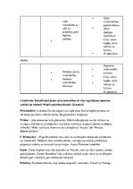 Konspekts 'Renesanse un lielie ģeogrāfiskie atklājumi - darba lapa', 7.