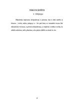 Referāts 'Attīstošas rotaļlietas bērniem', 10.