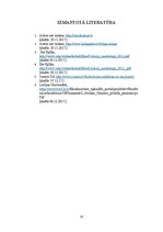 Referāts 'Attīstošas rotaļlietas bērniem', 15.