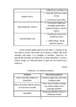 Biznesa plāns 'Atpūtas komplekss "Zaļkalni"', 13.