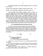 Referāts 'Investīciju projekta novērtēšana pakalpojumu uzņēmumā', 10.