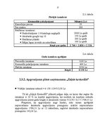 Referāts 'Investīciju projekta novērtēšana pakalpojumu uzņēmumā', 17.