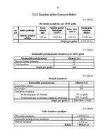 Referāts 'Investīciju projekta novērtēšana pakalpojumu uzņēmumā', 19.