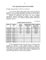 Referāts 'Investīciju projekta novērtēšana pakalpojumu uzņēmumā', 20.