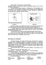 Referāts 'Gvineja', 3.