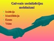 Prezentācija 'Socializācija', 17.