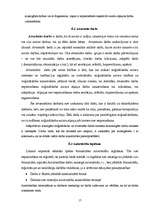 Referāts 'Autortiesības', 17.