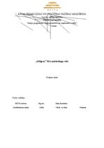 Prakses atskaite 'SIA "Stilgras" mārketinga vide', 1.